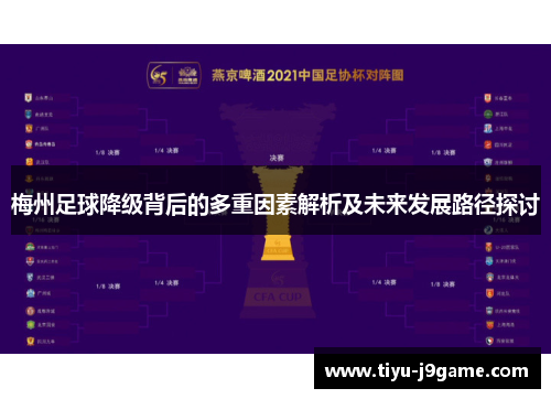 梅州足球降级背后的多重因素解析及未来发展路径探讨